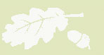 feuille